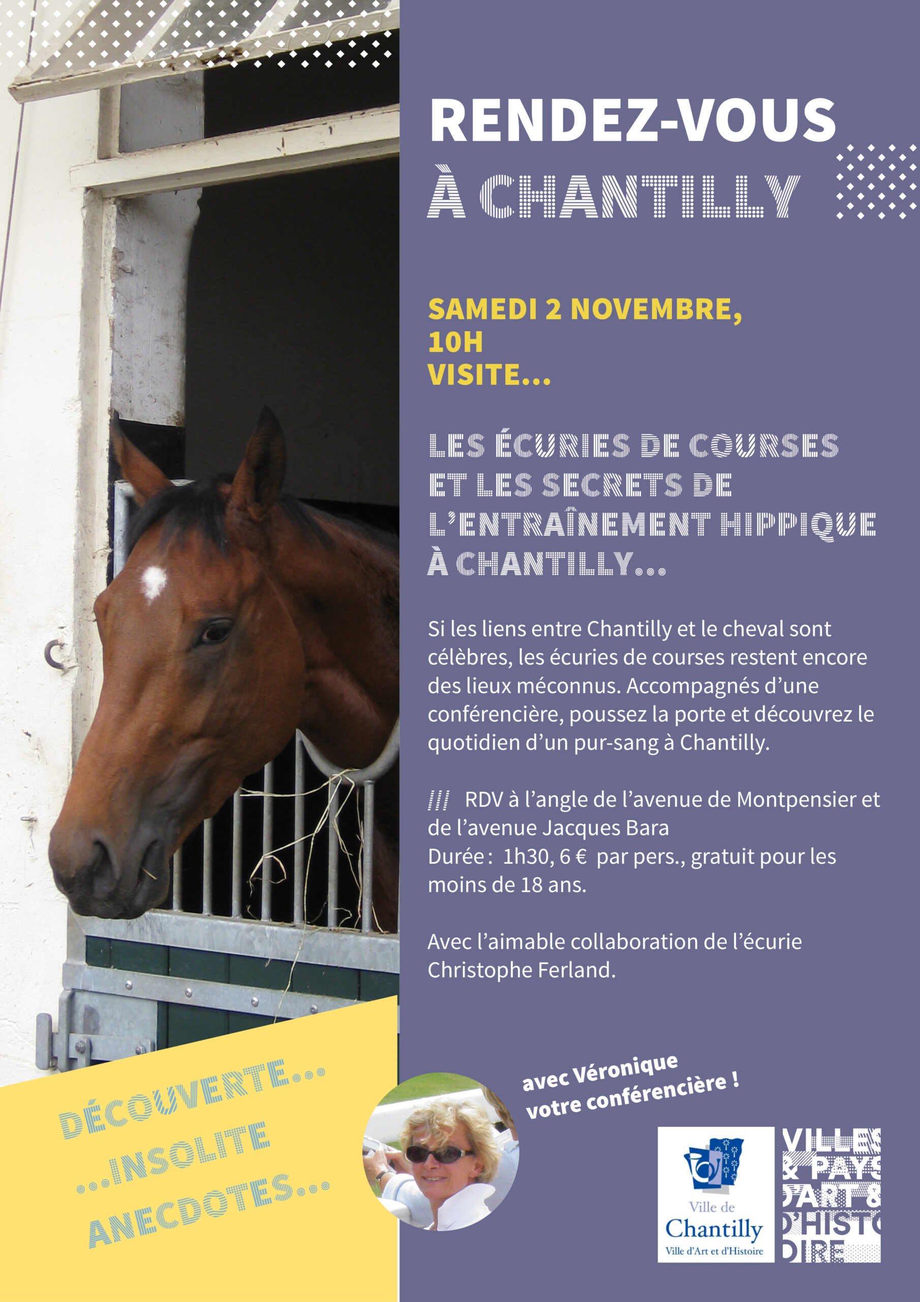 Les écuries de courses et les secrets de l’entraînement hippique à Chantilly...